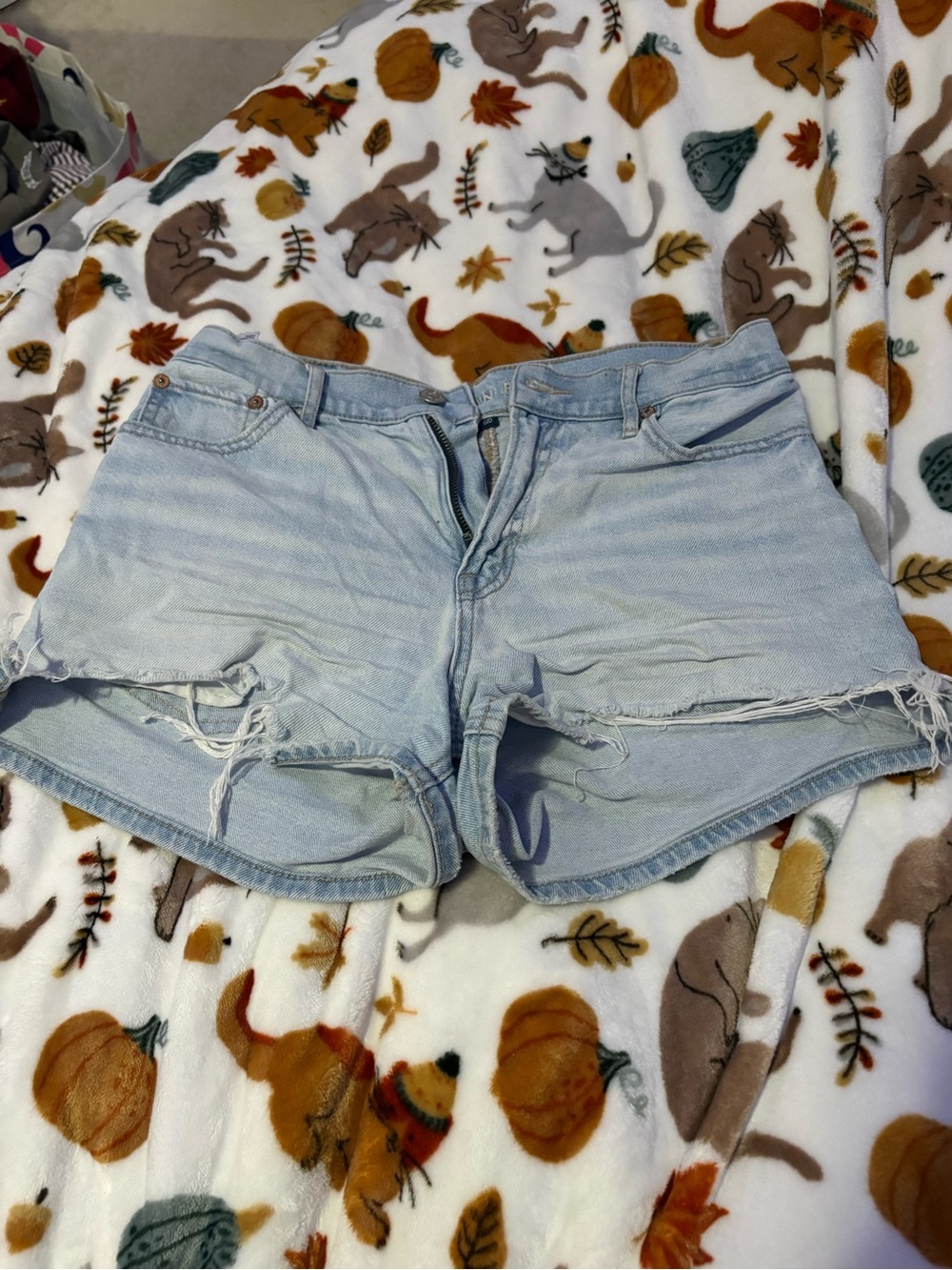 American Eagle Outfitters Light Wash Distressed Denim Shorts